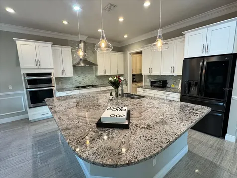 17503 Black Rail Street Windermere FL 34786
