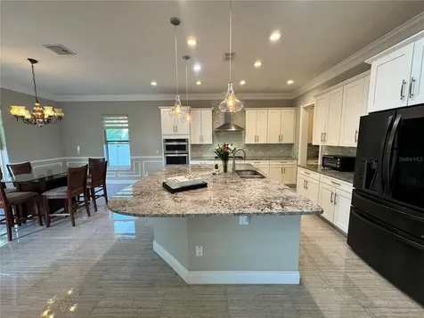 17503 Black Rail Street Windermere FL 34786
