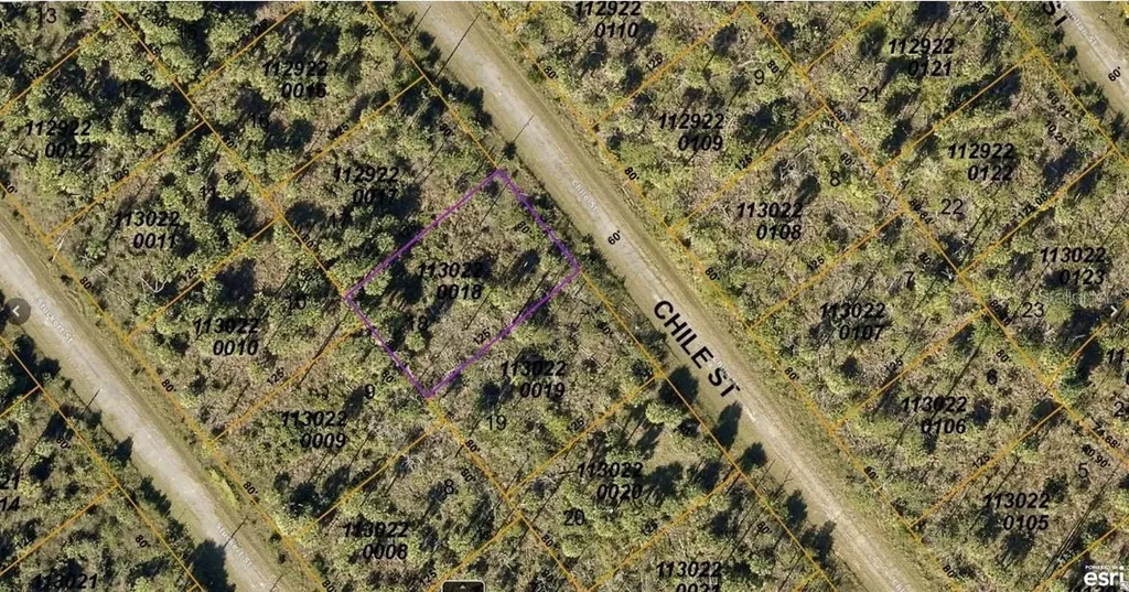 1130220018 Chile Street North Port FL 34288