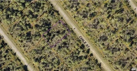 1130220018 Chile Street North Port FL 34288