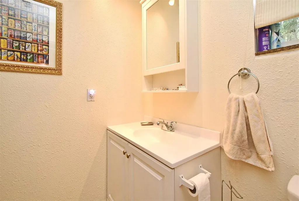 31 Chip Court Kissimmee FL 34759