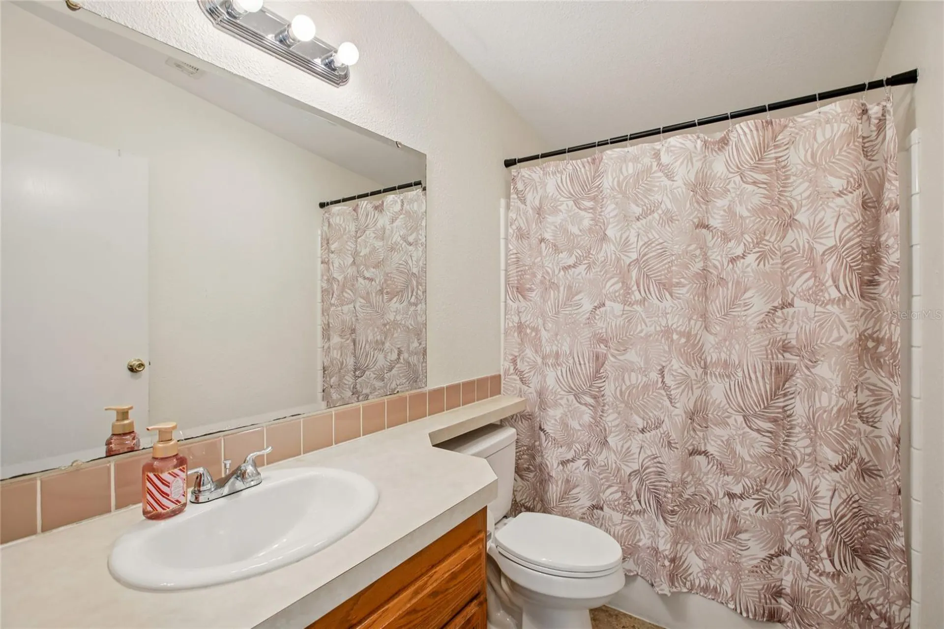 8420 Fantasia Park Way Riverview FL 33578