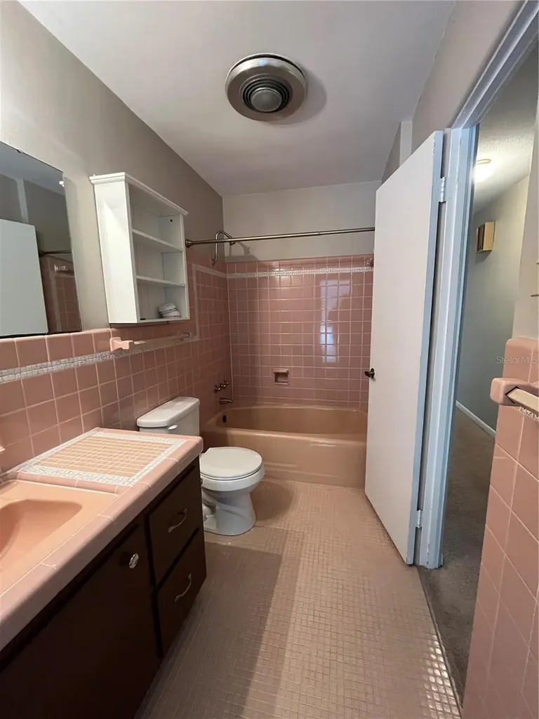 812 Northside Drive Mount Dora FL 32757