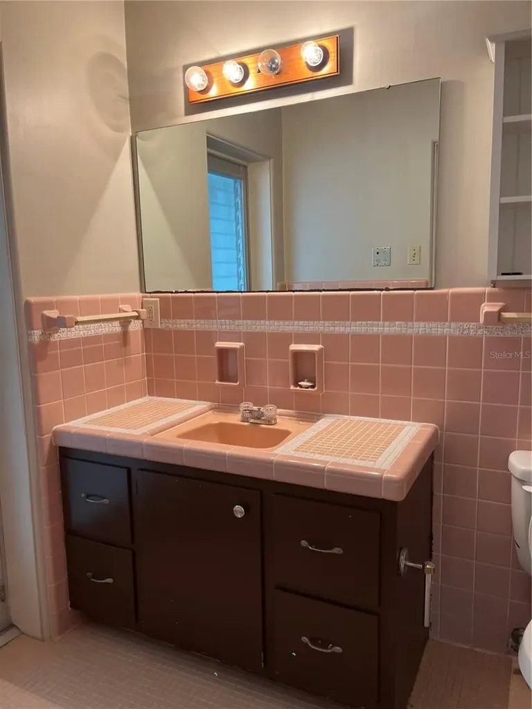 812 Northside Drive Mount Dora FL 32757