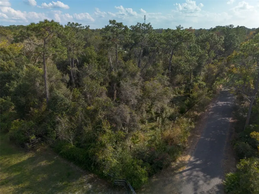 625 Lake Butler Avenue Osteen FL 32764