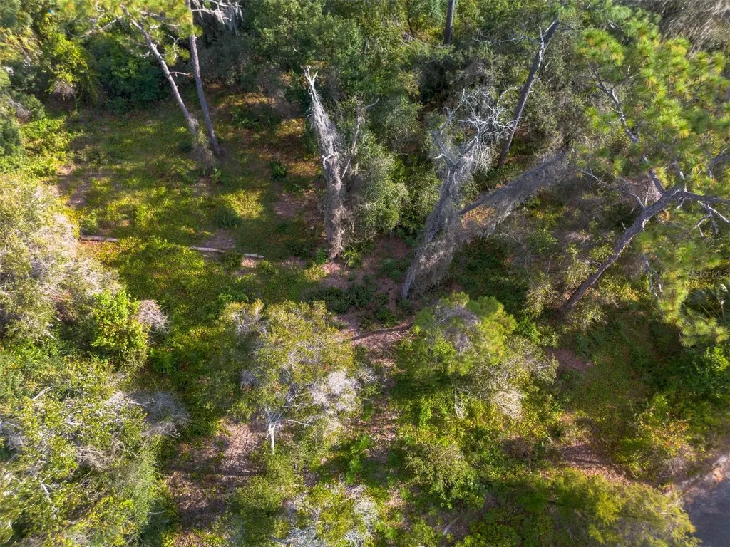 625 Lake Butler Avenue Osteen FL 32764
