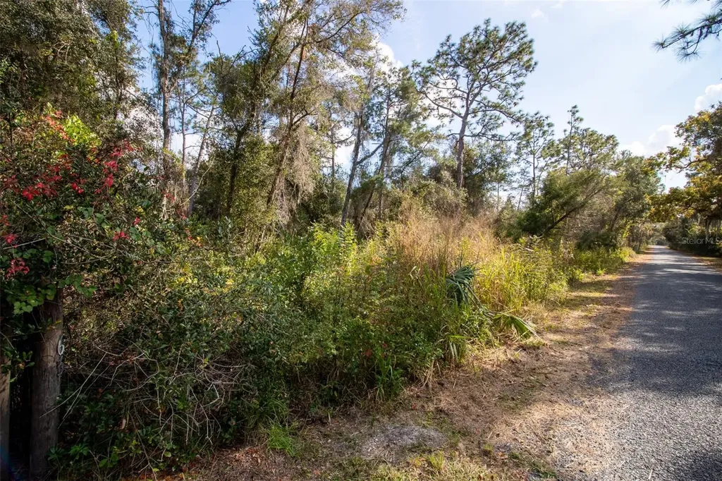 625 Lake Butler Avenue Osteen FL 32764