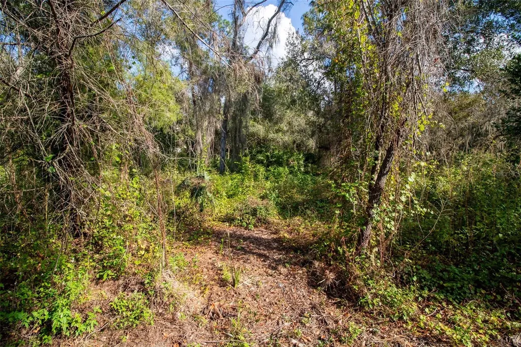 625 Lake Butler Avenue Osteen FL 32764