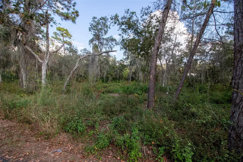 625 Lake Butler Avenue Osteen FL 32764