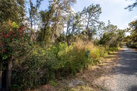625 Lake Butler Avenue Osteen FL 32764