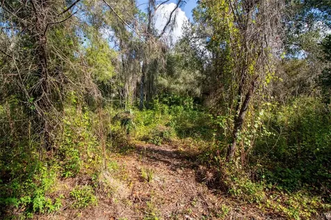 625 Lake Butler Avenue Osteen FL 32764