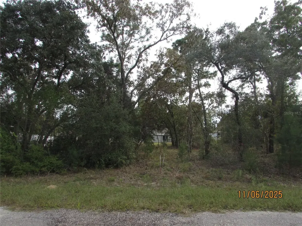 3108 W Randolph Lane Citrus Springs FL 34433