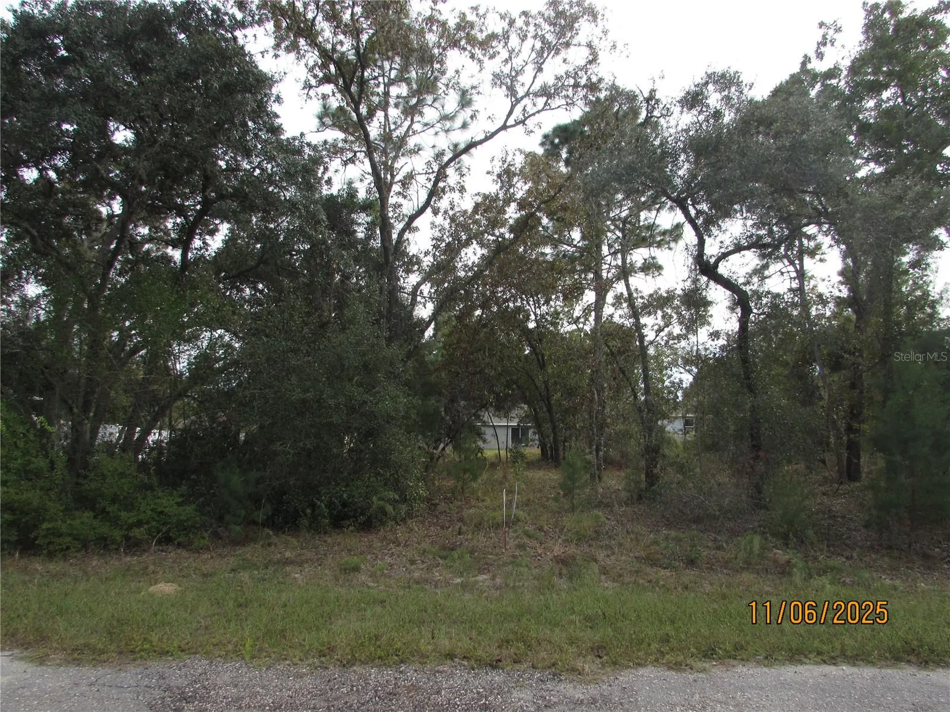 3108 W Randolph Lane Citrus Springs FL 34433