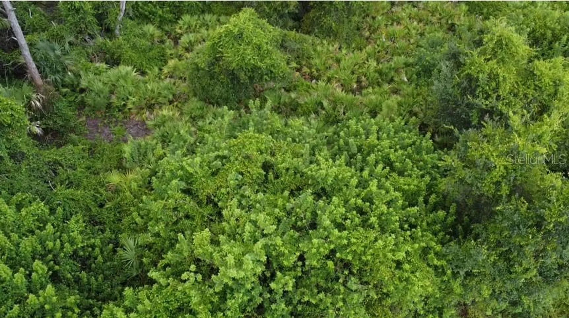 Argonne Court North Port FL 34288