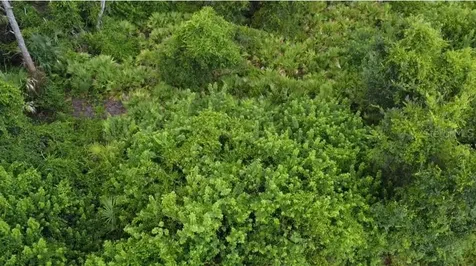 Argonne Court North Port FL 34288