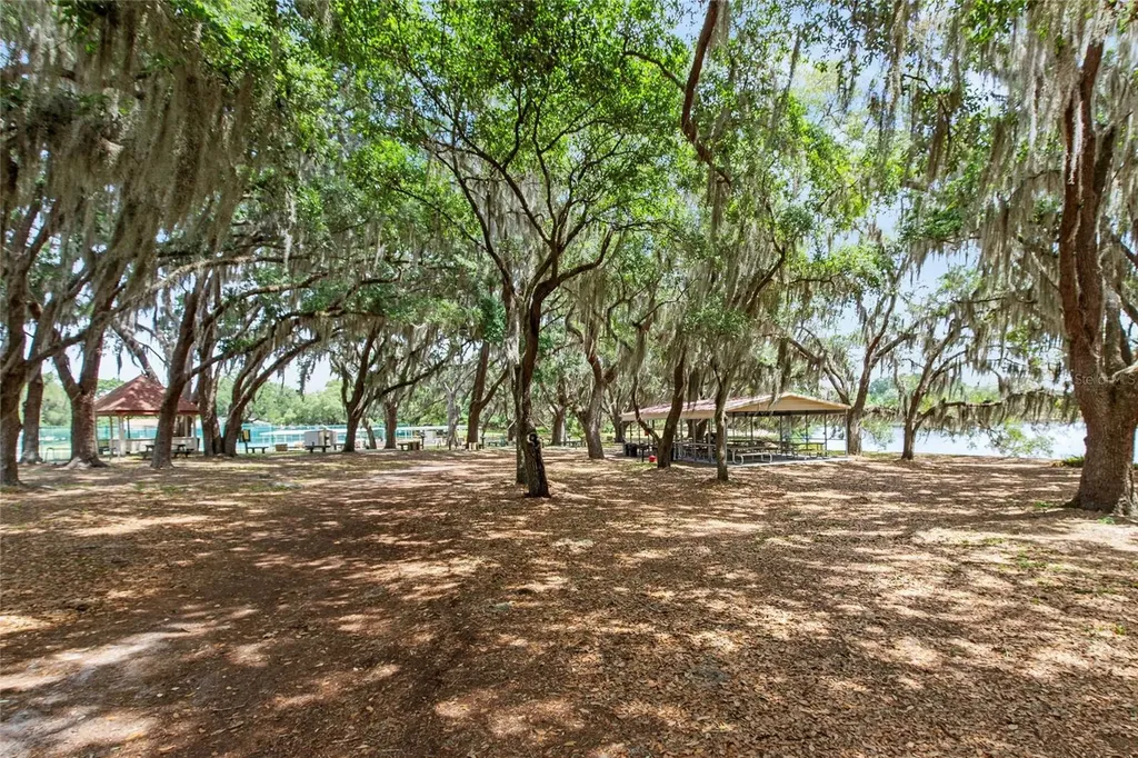 26209 Newcombe Circle Leesburg FL 34748