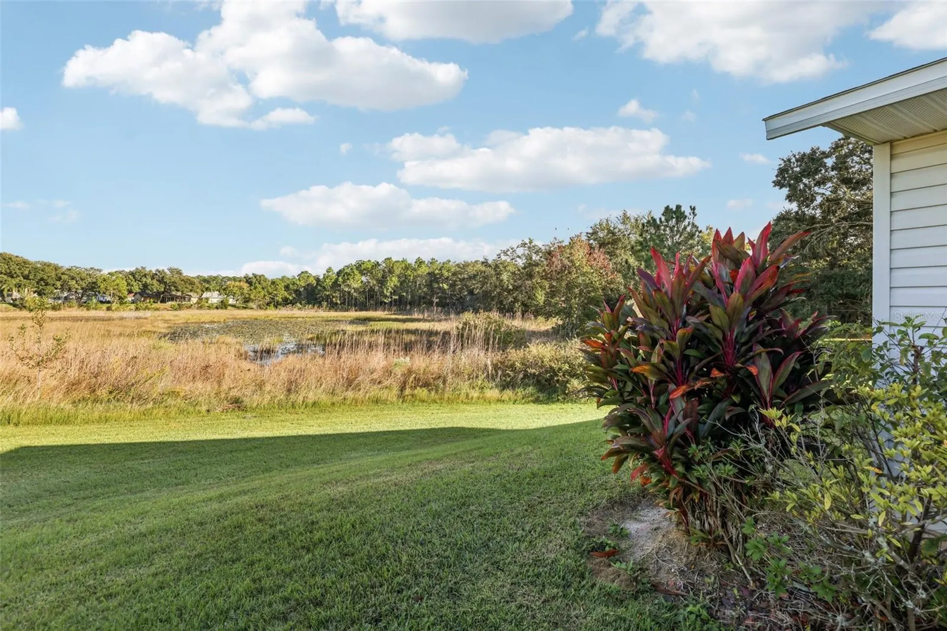 26209 Newcombe Circle Leesburg FL 34748