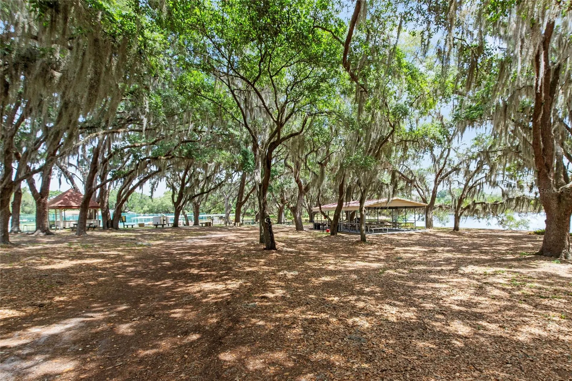 26209 Newcombe Circle Leesburg FL 34748