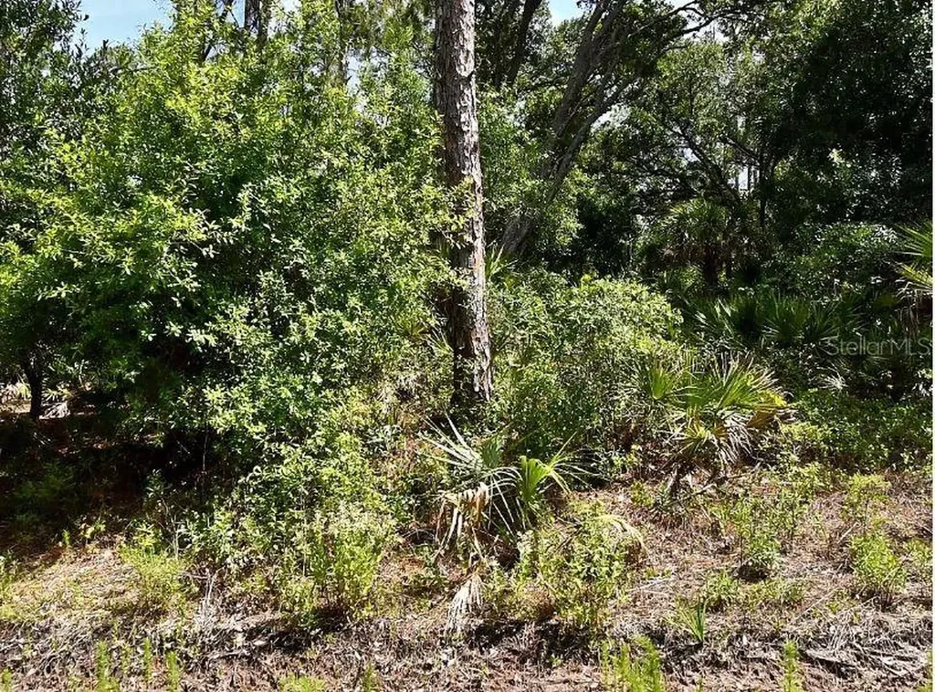 Lot 15 Lovering Avenue North Port FL 34286