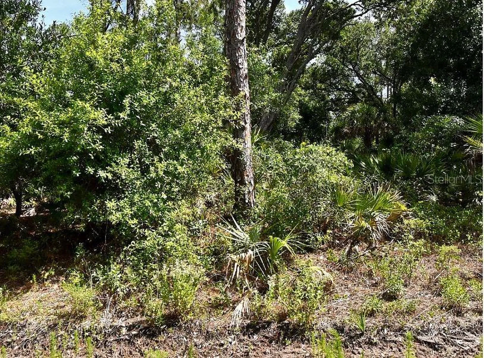 Lot 15 Lovering Avenue North Port FL 34286