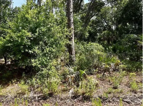 Lot 15 Lovering Avenue North Port FL 34286