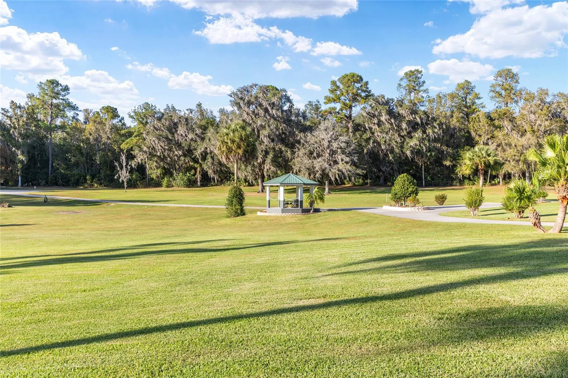 255 SW 96th Lane Ocala FL 34476