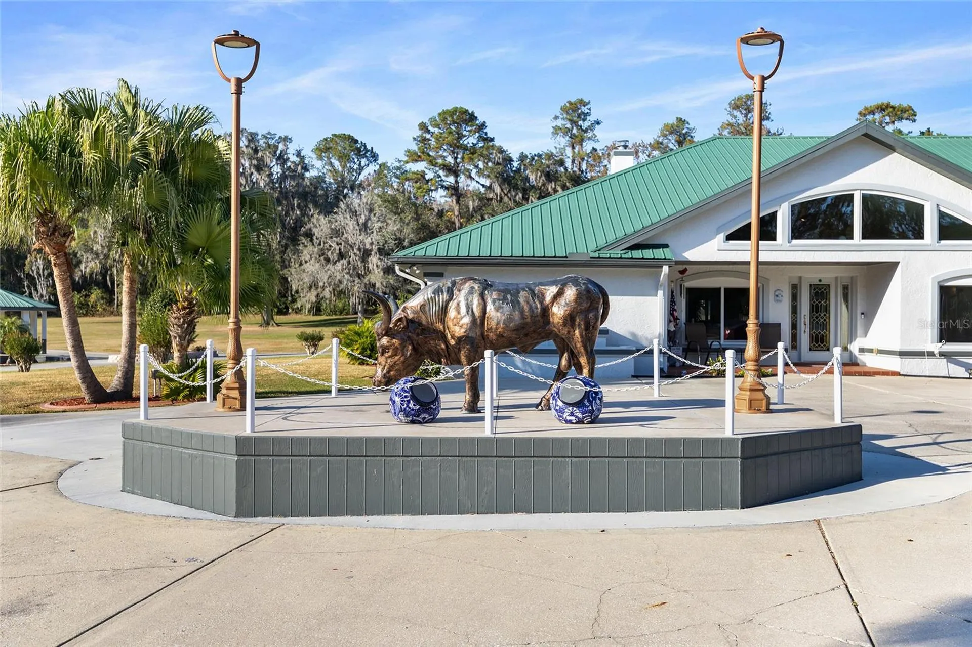 255 SW 96th Lane Ocala FL 34476