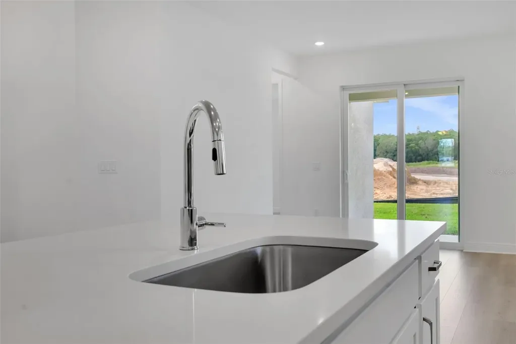 1022 Swamp Chestnut Loop Lady Lake FL 32159