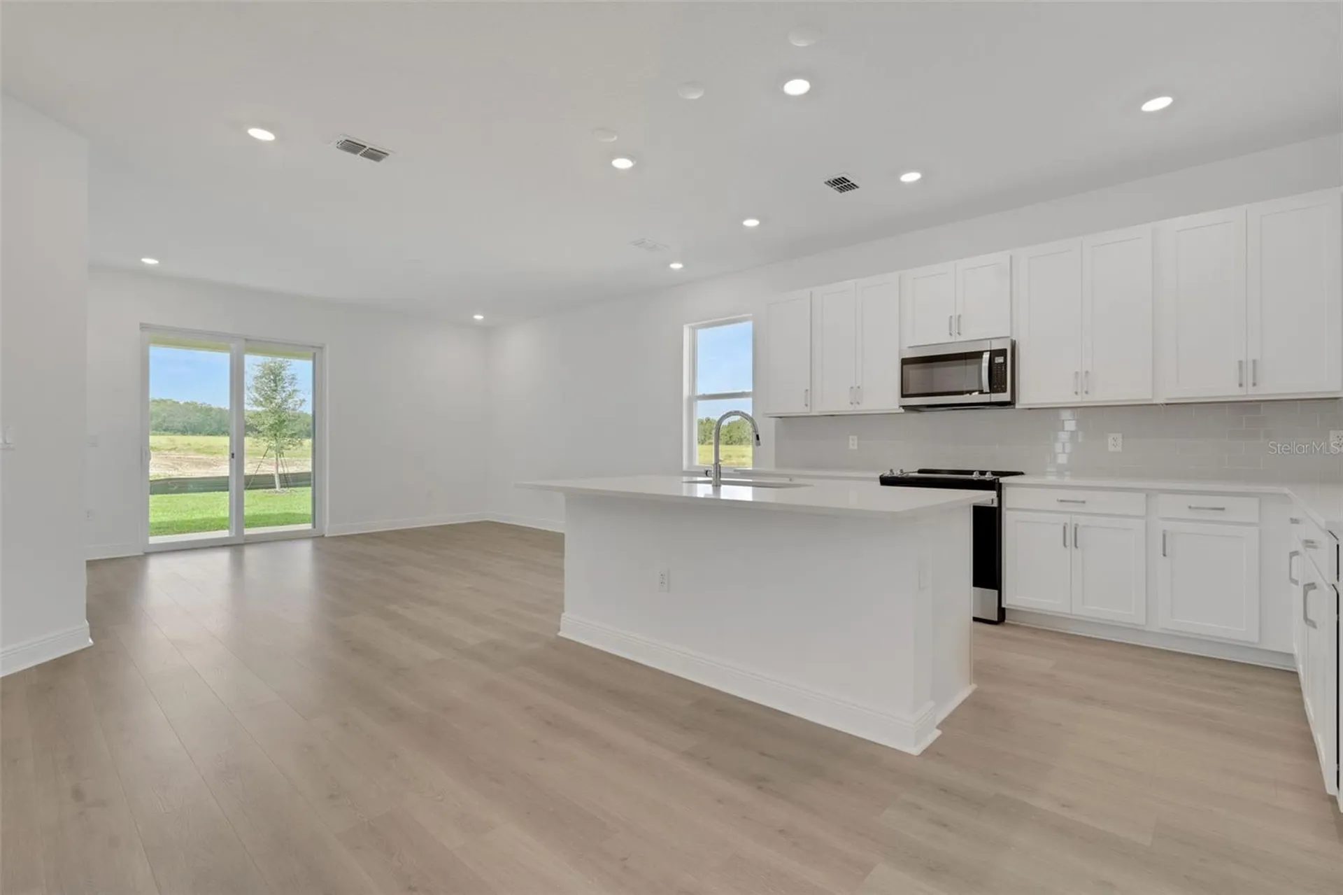 1022 Swamp Chestnut Loop Lady Lake FL 32159