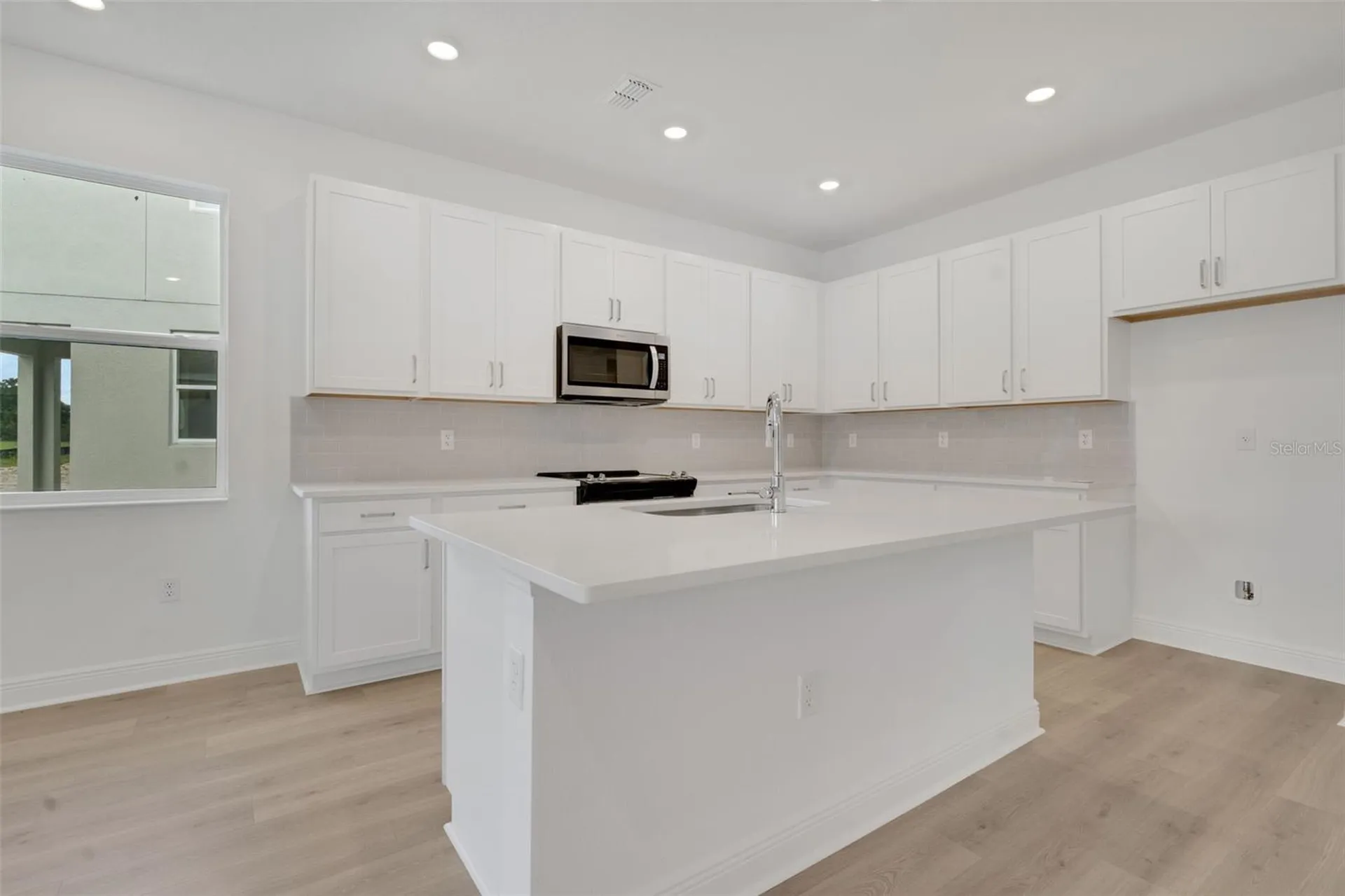 1022 Swamp Chestnut Loop Lady Lake FL 32159