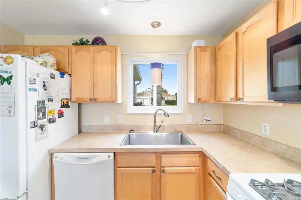 442 Pace Lane The Villages FL 32162