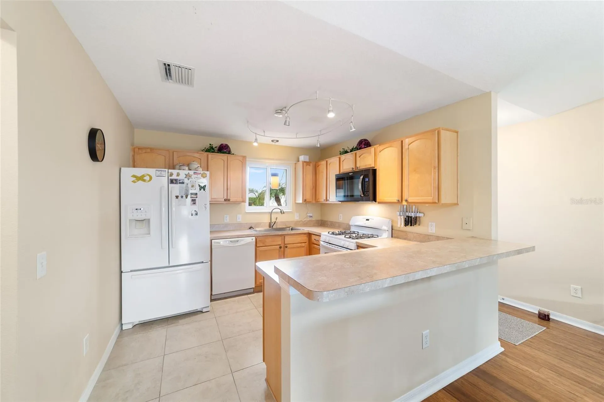 442 Pace Lane The Villages FL 32162