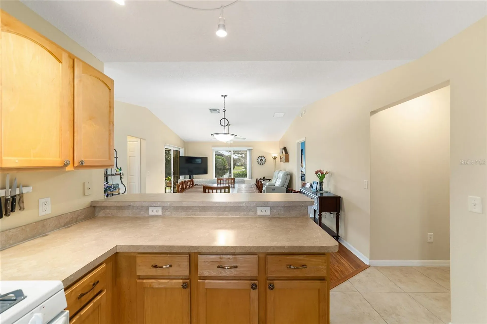 442 Pace Lane The Villages FL 32162