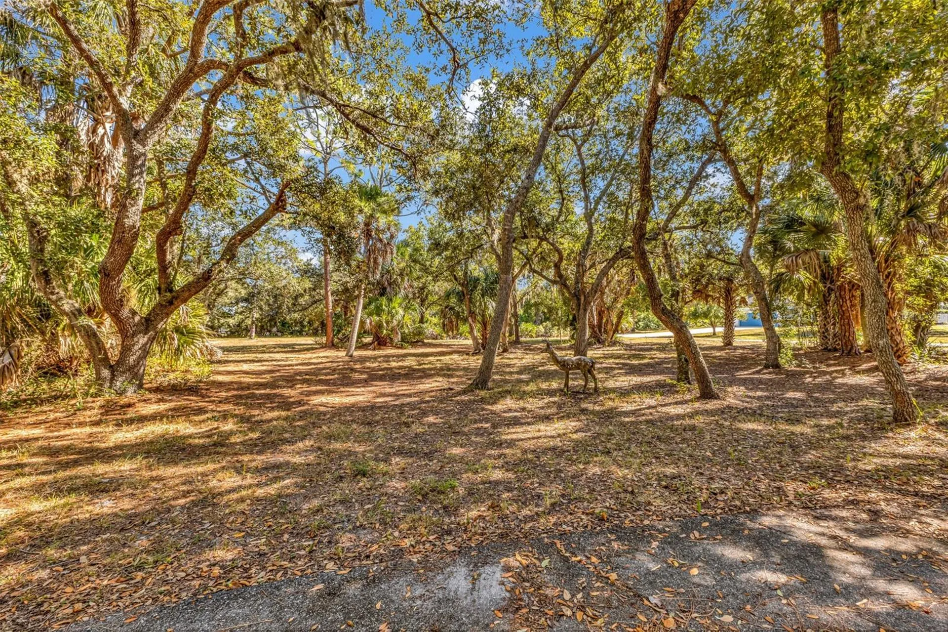 24581 Nova Lane Punta Gorda FL 33980