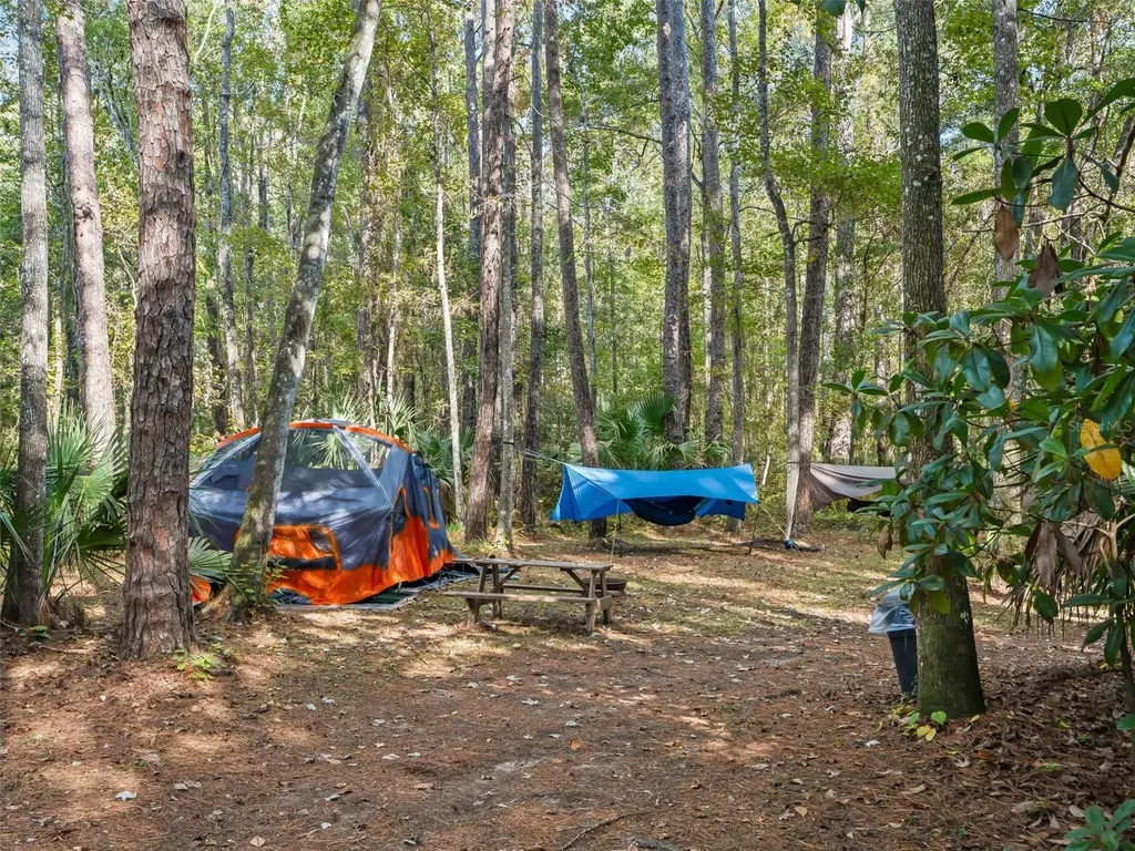 15260 NE 152nd Place Fort Mc Coy FL 32134