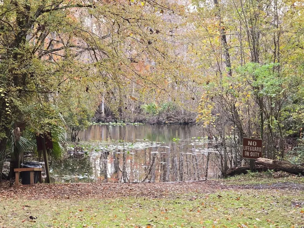 15260 NE 152nd Place Fort Mc Coy FL 32134