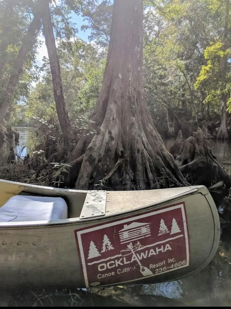 15260 NE 152nd Place Fort Mc Coy FL 32134