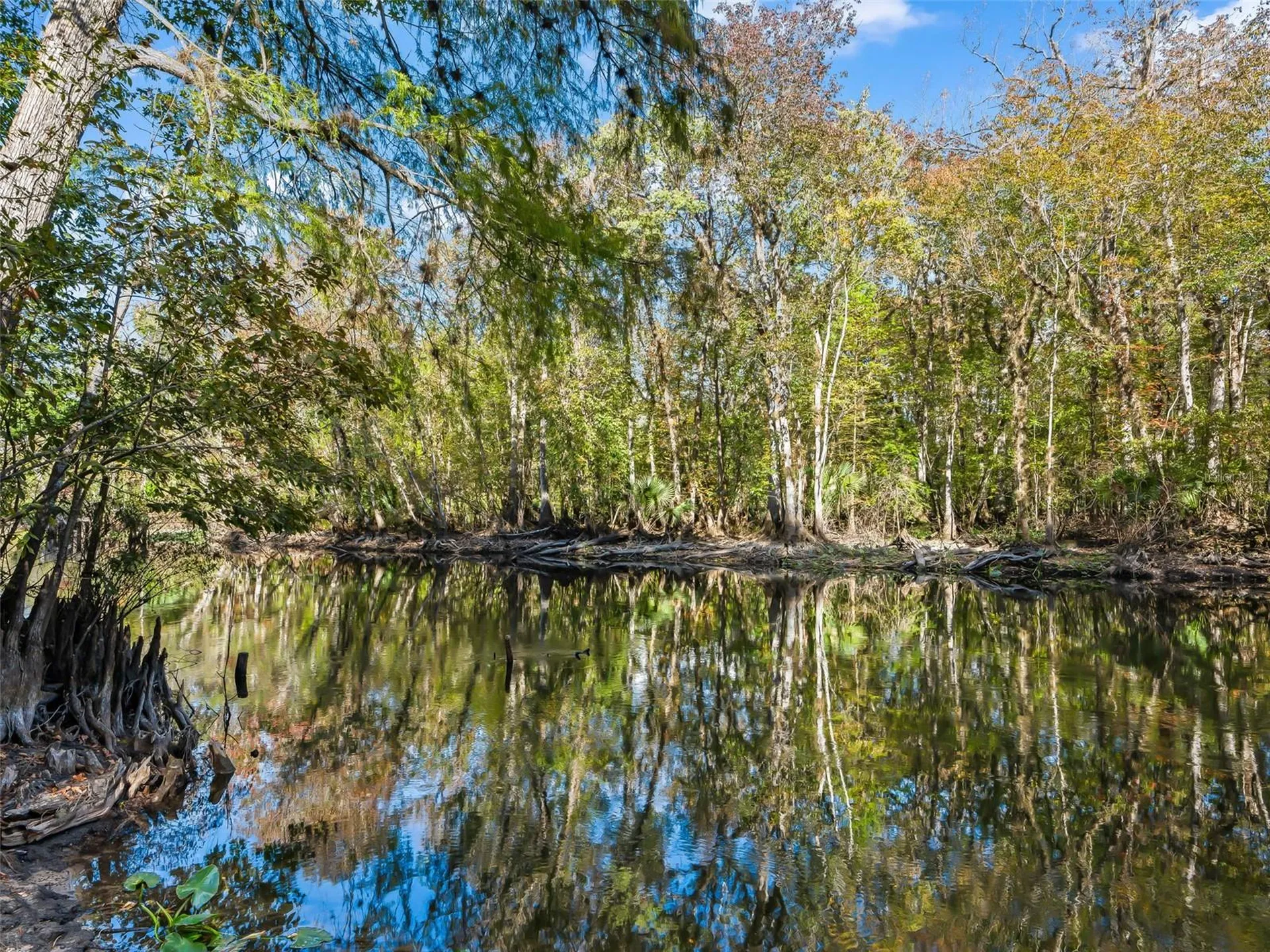 15260 NE 152nd Place Fort Mc Coy FL 32134