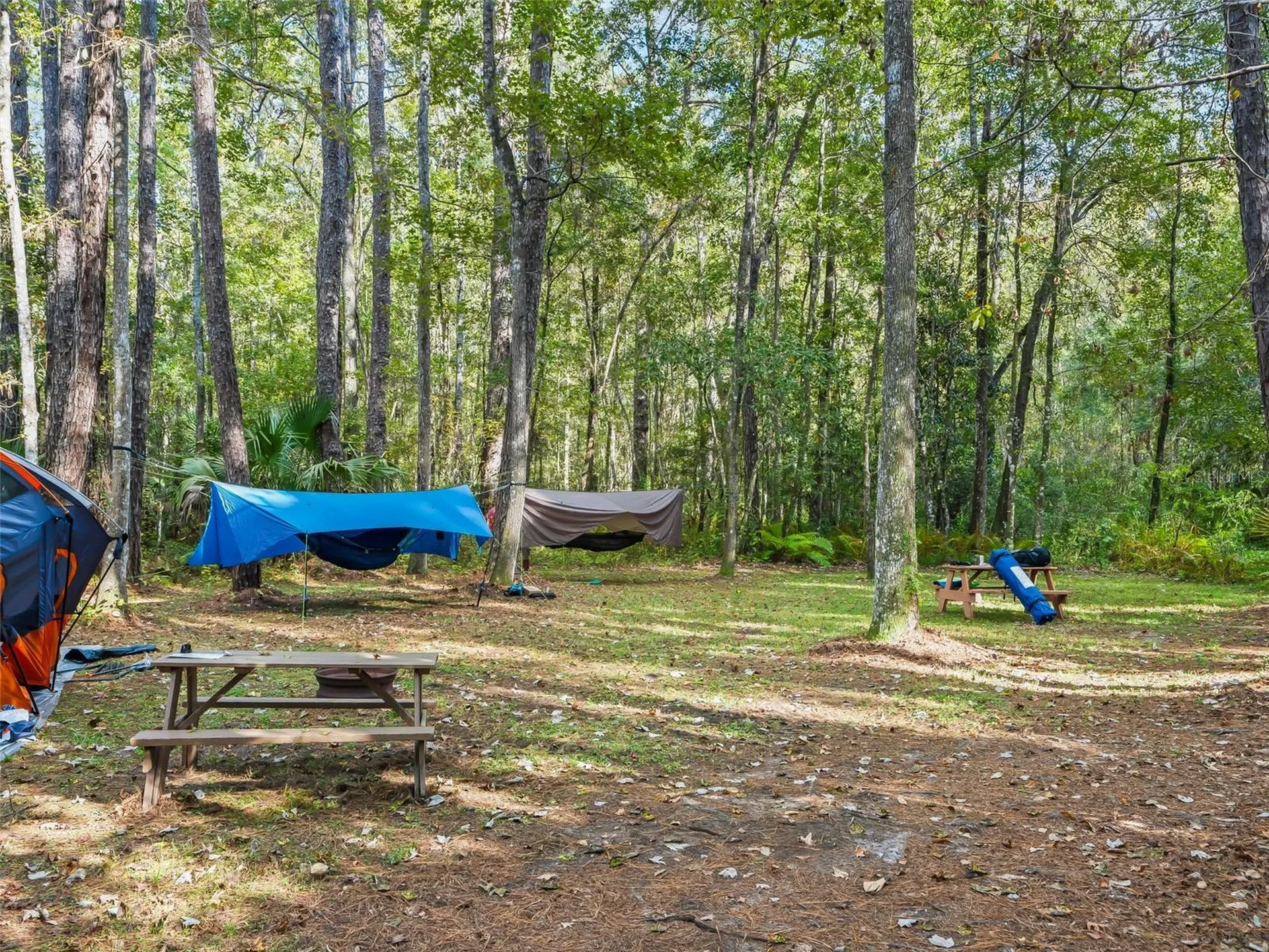 15260 NE 152nd Place Fort Mc Coy FL 32134