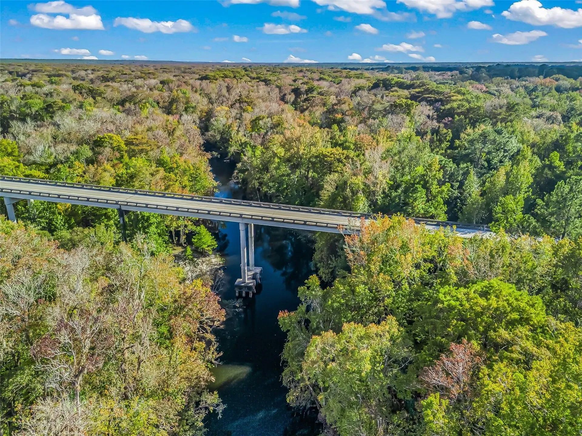 15260 NE 152nd Place Fort Mc Coy FL 32134