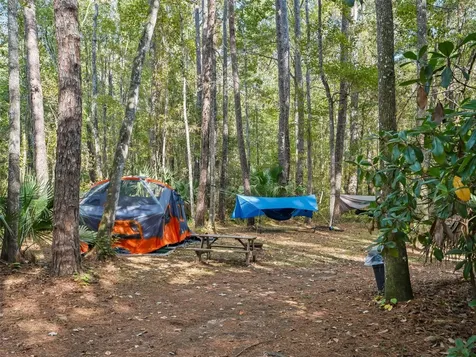 15260 NE 152nd Place Fort Mc Coy FL 32134