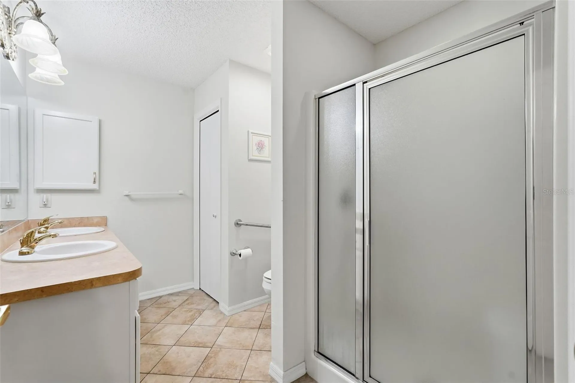 17985 SE 92nd Amory Avenue The Villages FL 32162