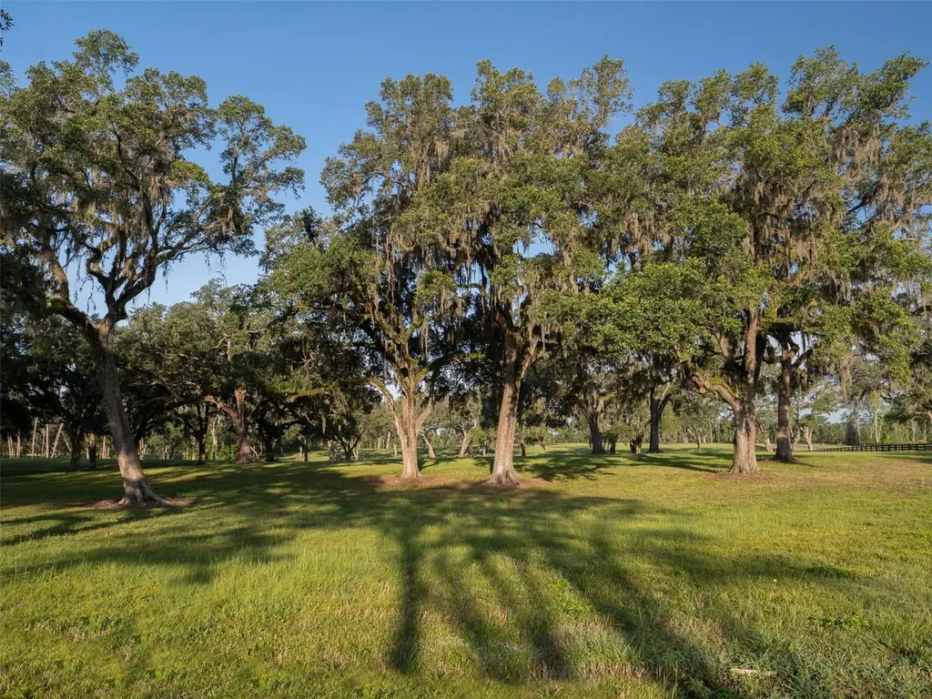 11771 NW 50th Lane Road Ocala FL 34482