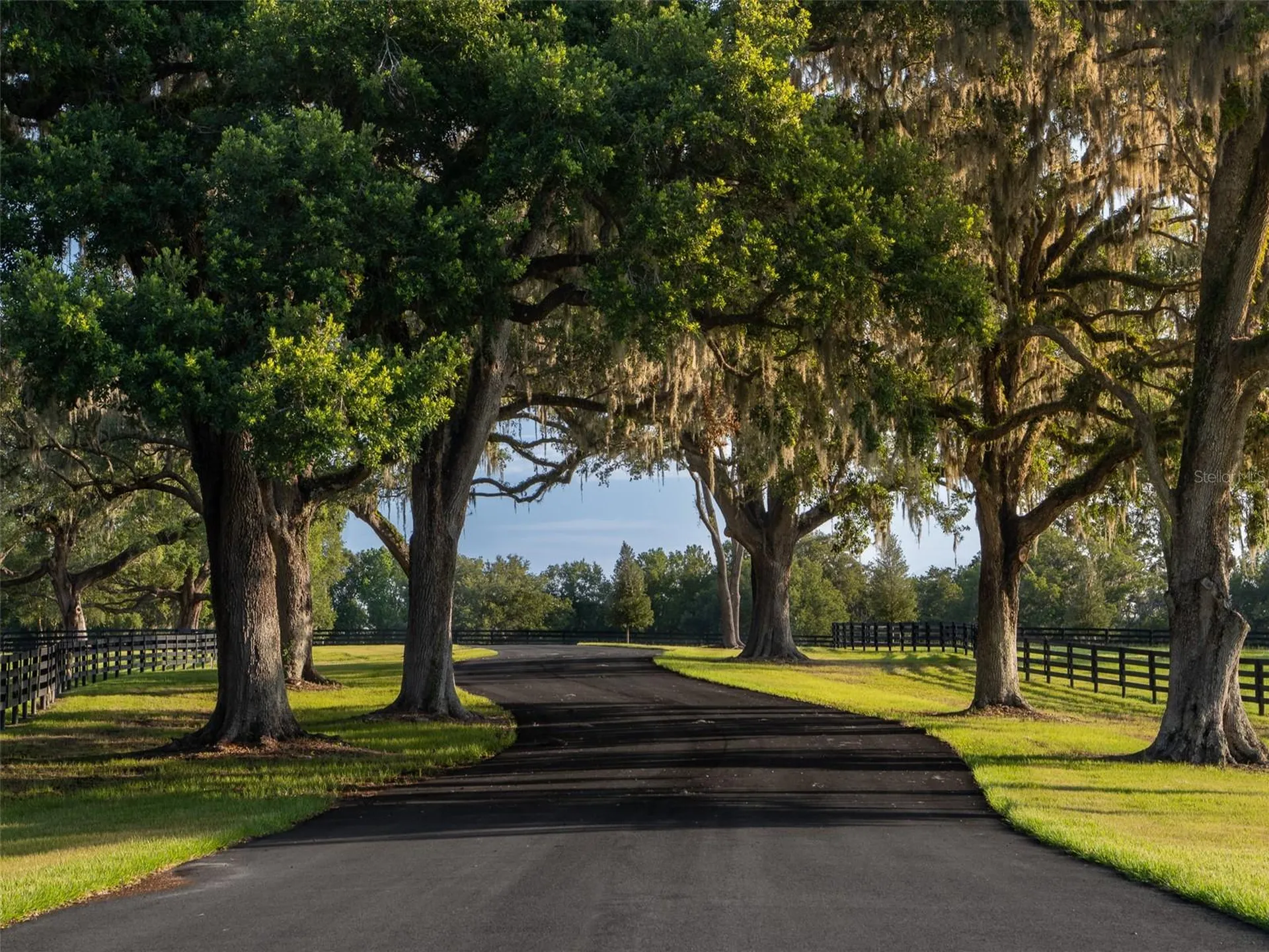 11771 NW 50th Lane Road Ocala FL 34482