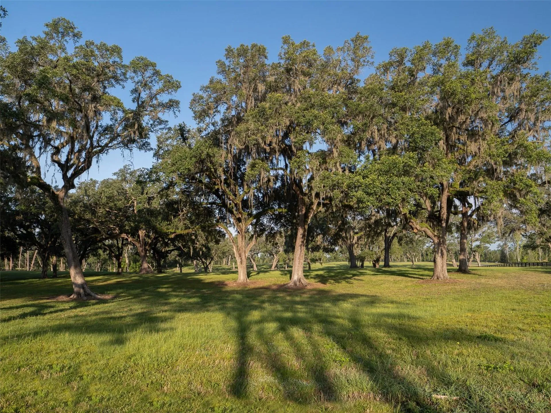 11771 NW 50th Lane Road Ocala FL 34482