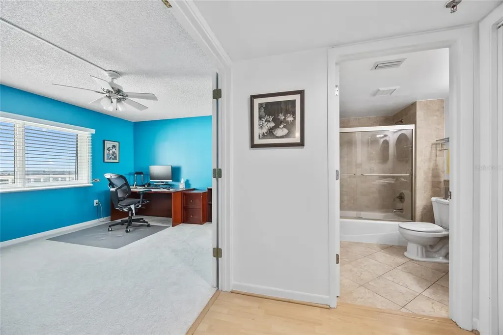 2 Adalia Avenue Tampa FL 33606
