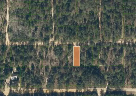0 Unassigned Road Interlachen FL 32148