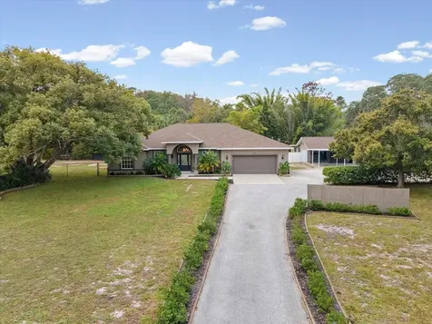 8551 Pratt Drive New Port Richey FL 34654