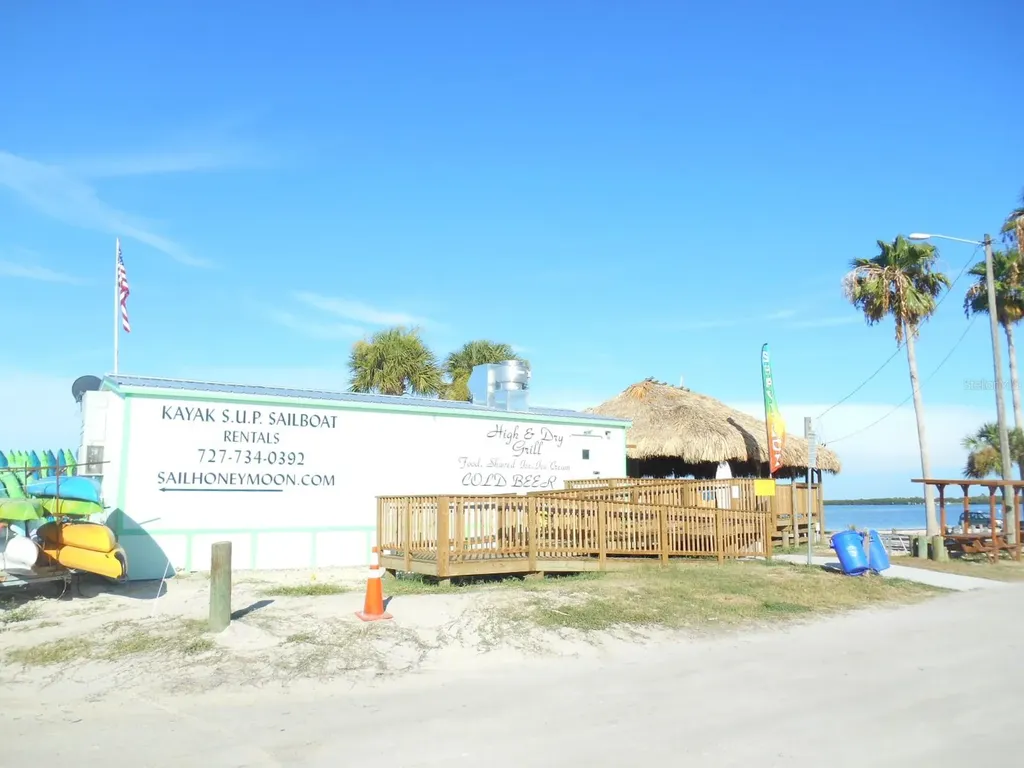 9 Haig Place Dunedin FL 34698