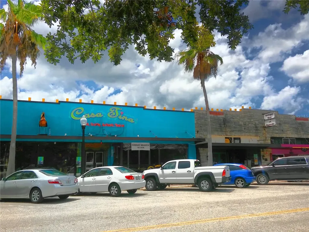 9 Haig Place Dunedin FL 34698